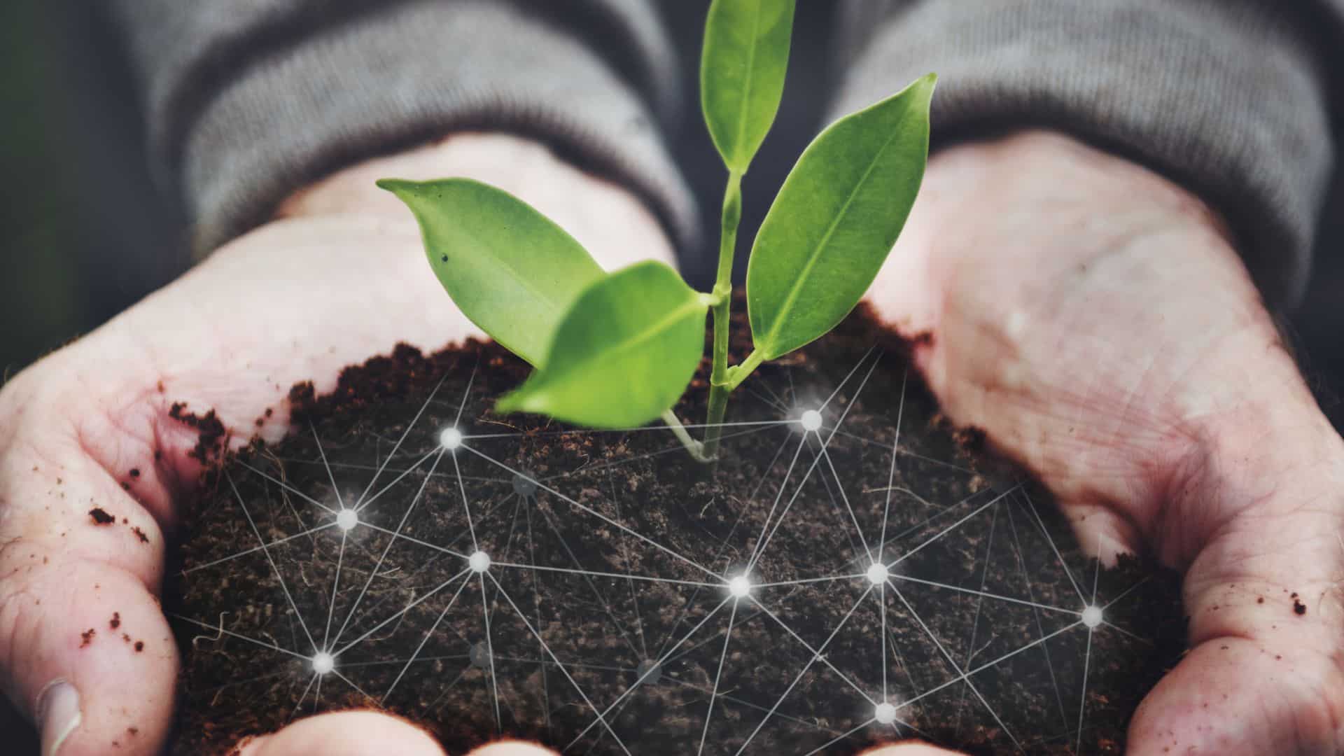 臺灣永續指標之主題辨識與銜接性－以食品工業及餐飲為例