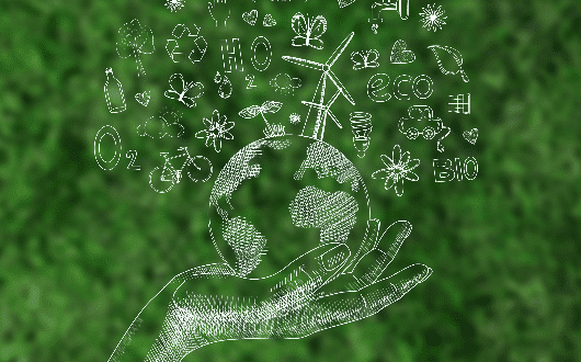 ESG 資訊：企業社會責任