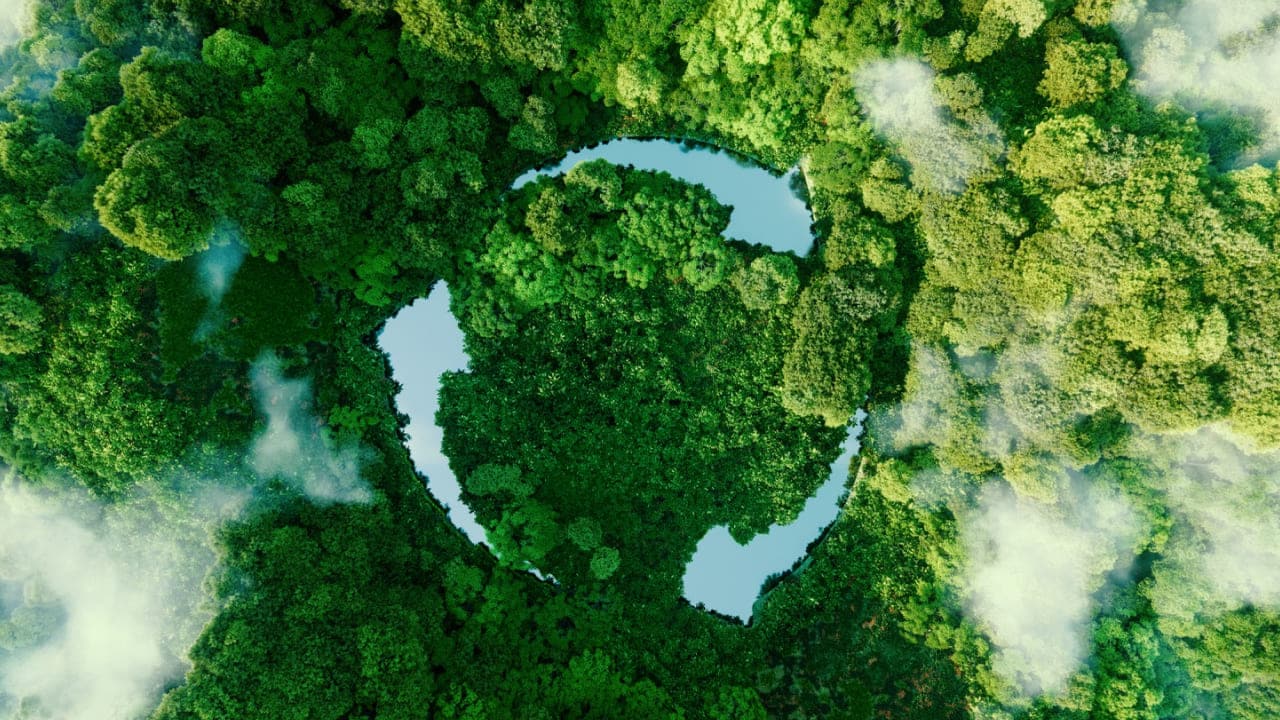 ESG全解析｜重要性、如何落實、評分機制一次看！