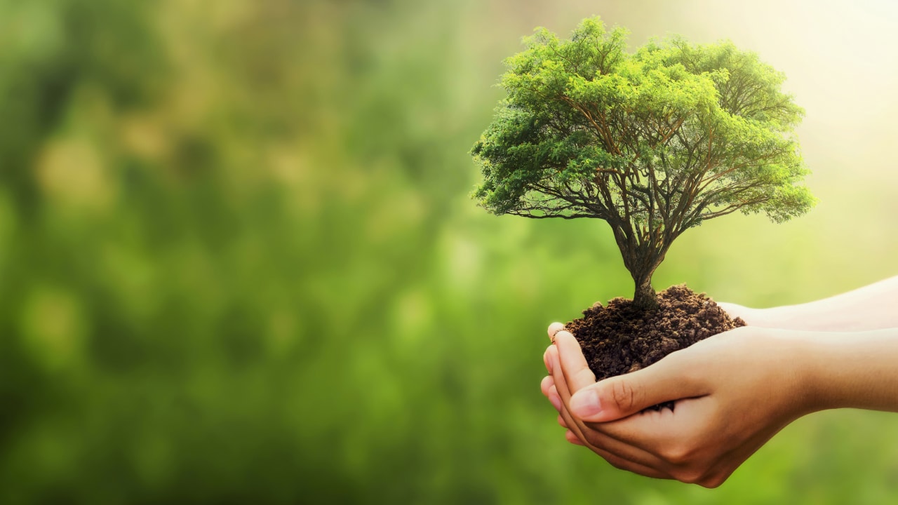 永續報告書為何？有何參考準則？永續報告書內容一覽