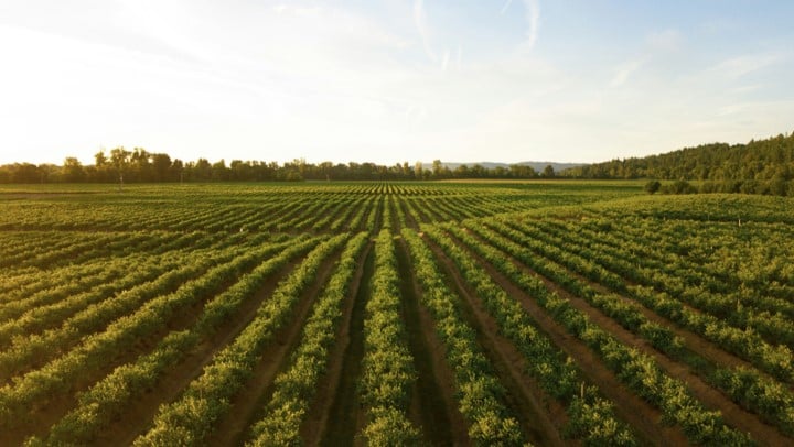 TNFD自然風險評估-以食品與農業產業為例