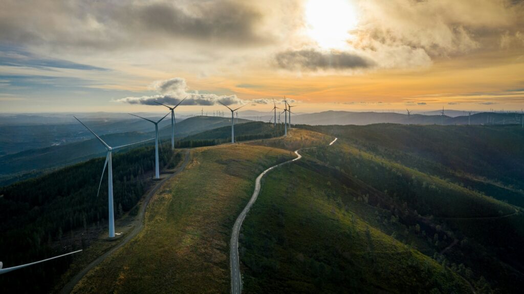 淨零碳排新方向！盤點台灣再生能源發展概況