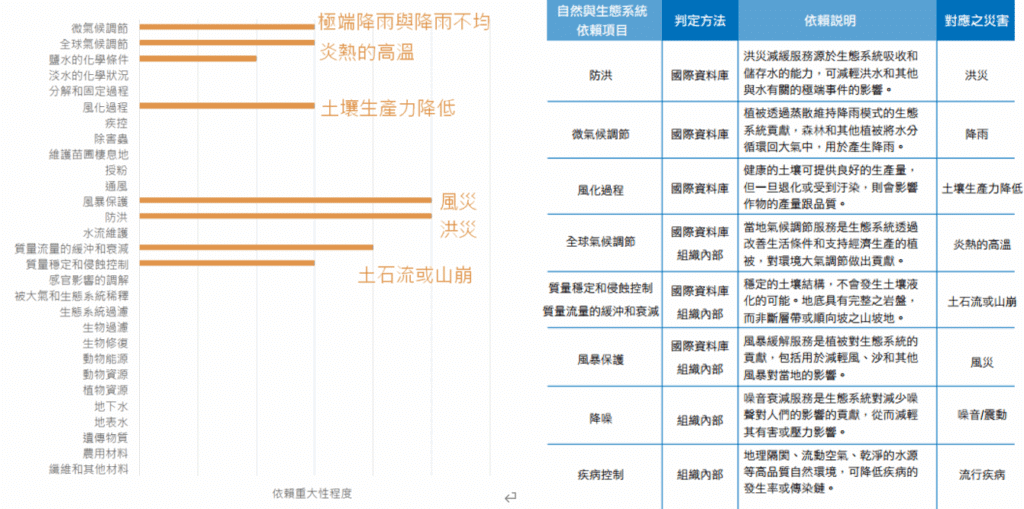圖四、台灣大依賴類型彙總表
