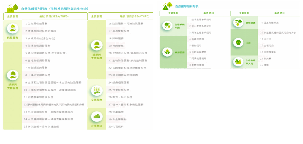 圖九、南亞科依賴與影響分類