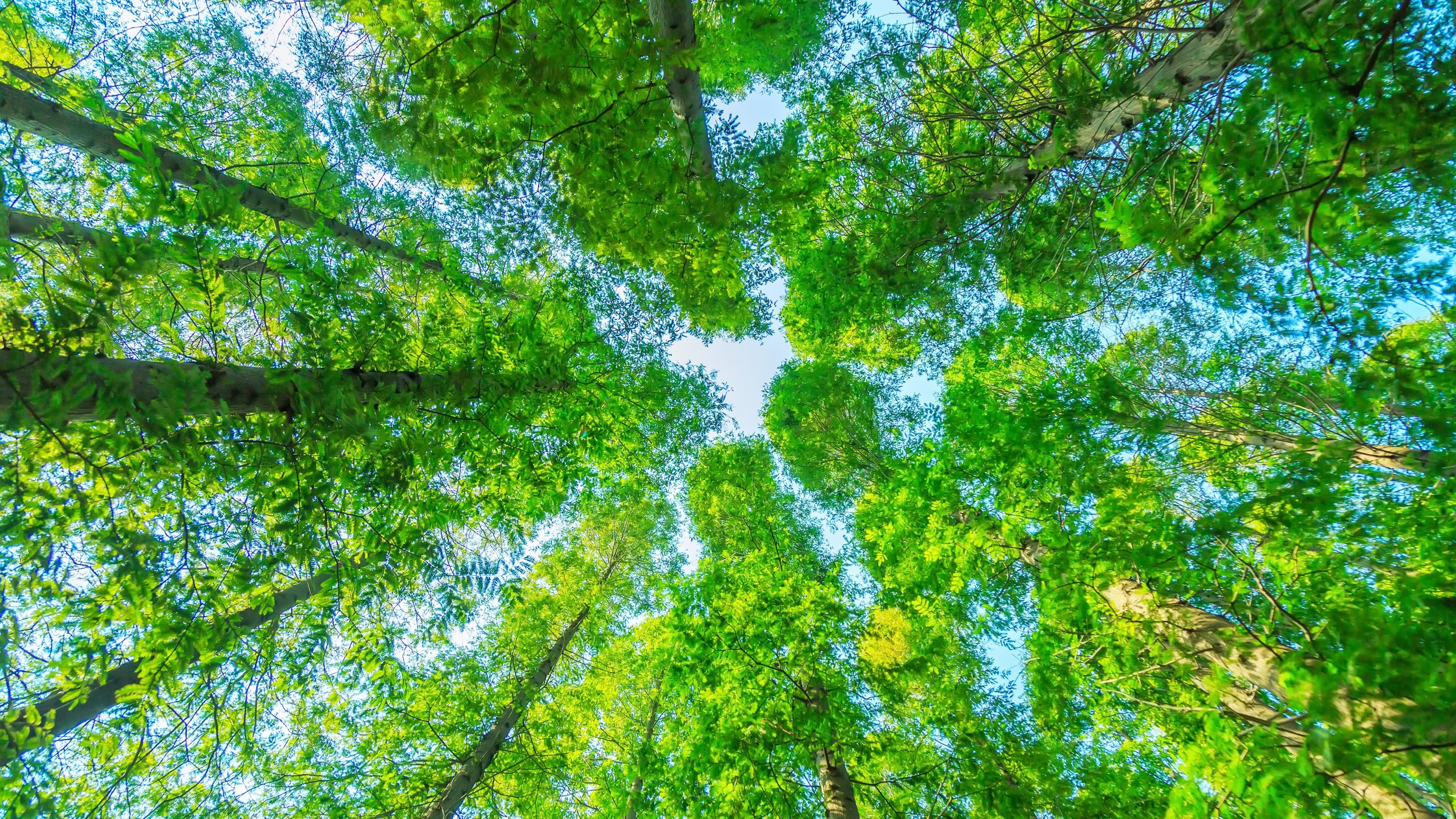 近五年台灣產業違反法規趨勢解析，從負面事件揭露企業ESG風險