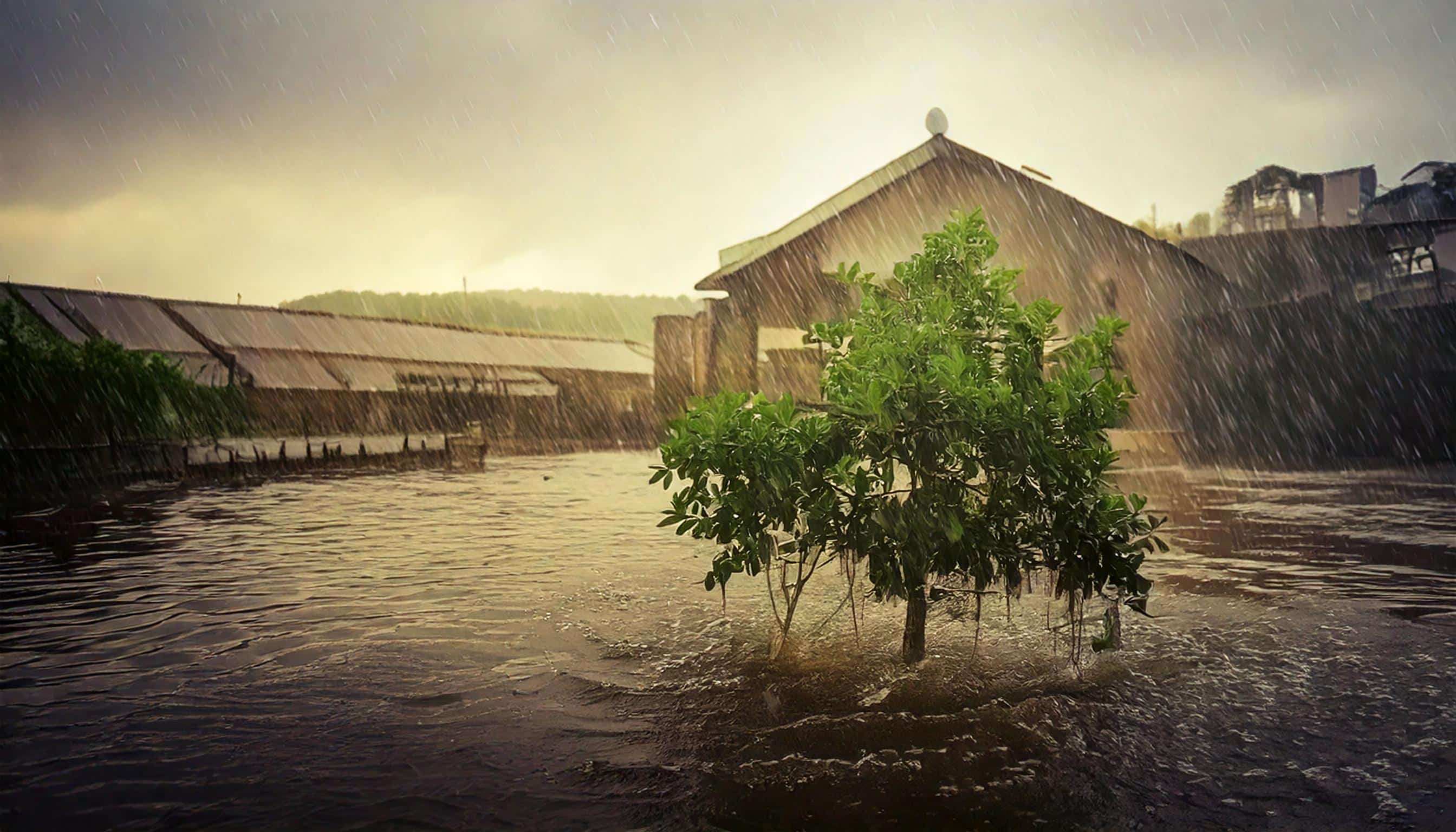 實體風險不容忽視！如何進行實體風險災害損失評估，降低金融業風險1