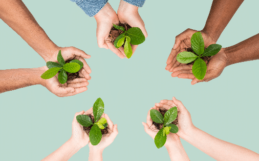氣候變遷：晶圓雙雄的風險與機會